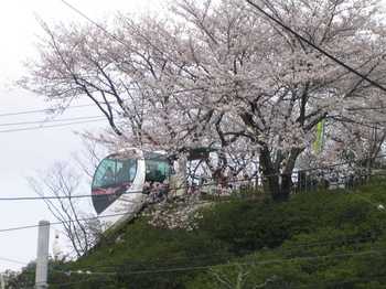2010sakura010(飛鳥山アスカルゴ02).jpg